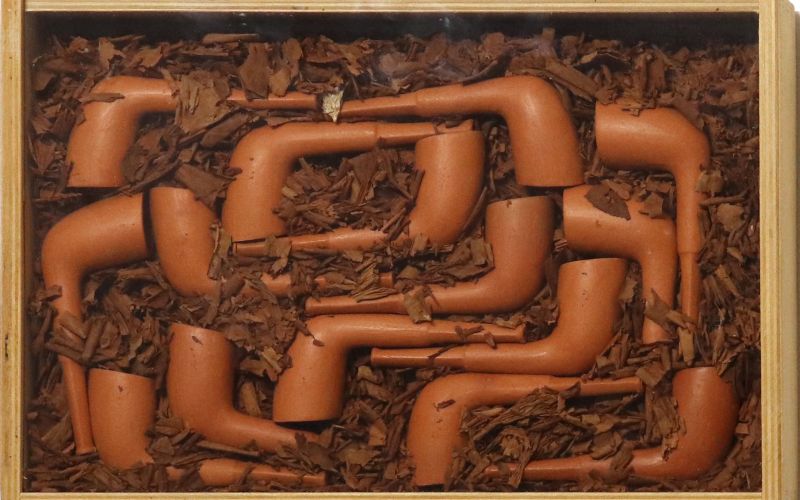 527f85cbd7c86d42bd06a95d086b95d4d9671b32